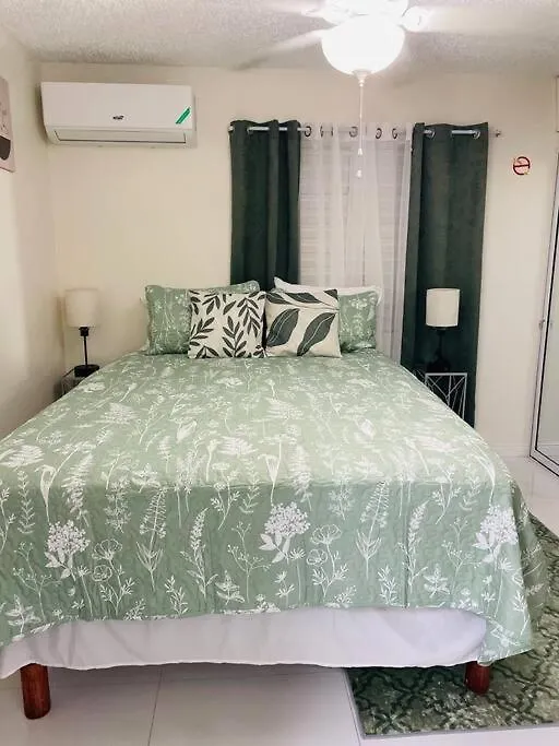 Apartment Serenity Escape Half Way Tree Jamaica